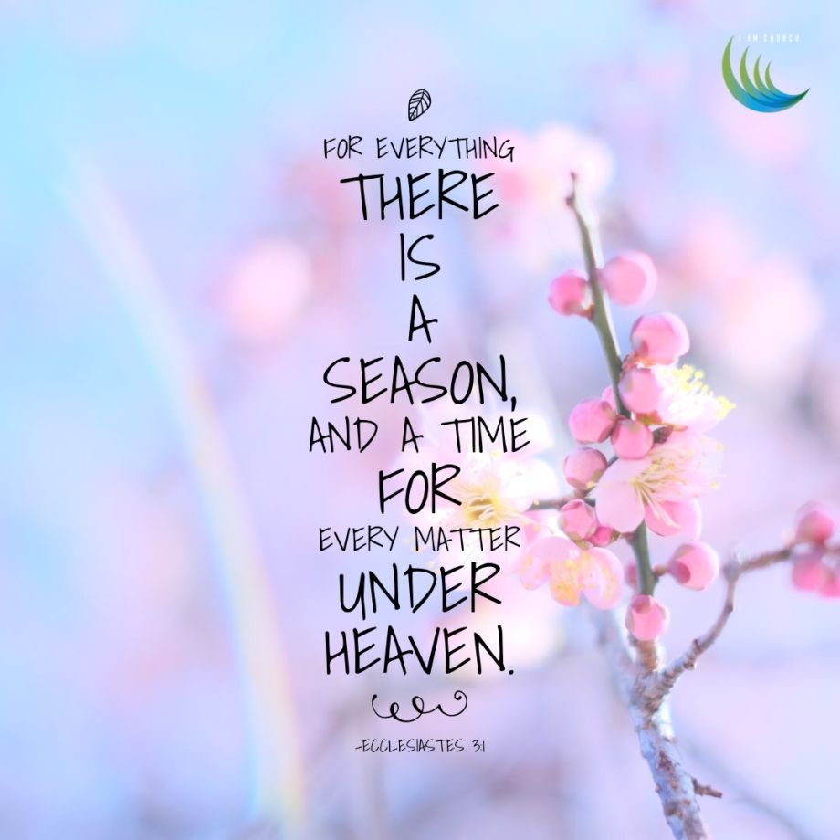 For everything there is a season